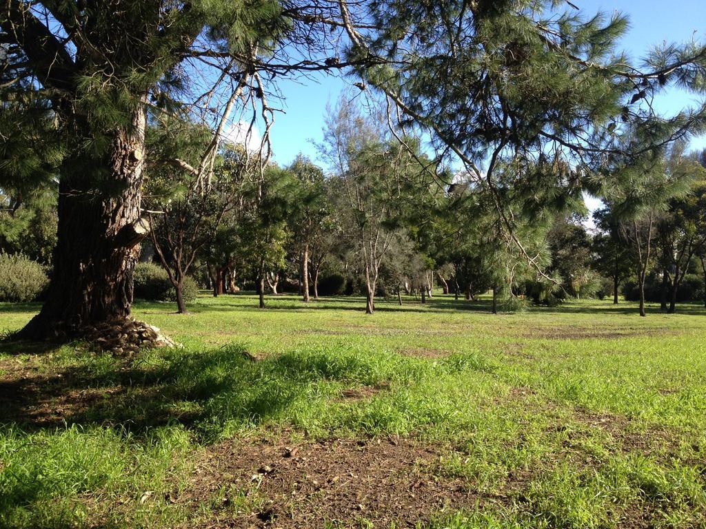 Millicent Lakeside Caravan Park Hotel ภายนอก รูปภาพ